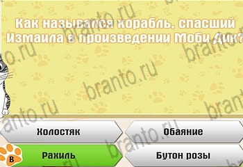 Самый умный котёнок все отгадки Одноклассники Уровень 919