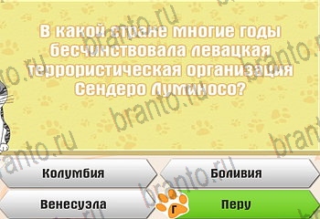 игра Самый умный котёнок все отгадки в Одноклассниках Уровень 920