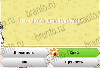 Самый умный котёнок разгадки к игре Уровень 921