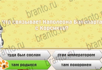 Самый умный котёнок все ответы Уровень 923