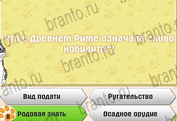 игра Самый умный котёнок все ответы Уровень 924