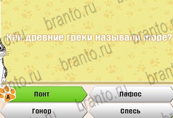 ответы на все уровни игры Самый умный котёнок Уровень 925