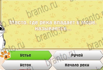 все решения к игре Самый умный котёнок Уровень 927