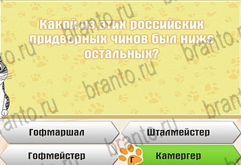 Самый умный котёнок Одноклассники подсказки Уровень 933