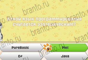 Одноклассники Самый умный котёнок прохождение игры Уровень 934