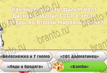 Самый умный котёнок в Одноклассниках найти ответы Уровень 938