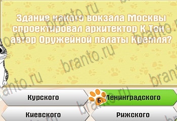 Самый умный котёнок ответы Уровень 940