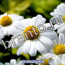 ответы на игру Следопыты Уровень 1