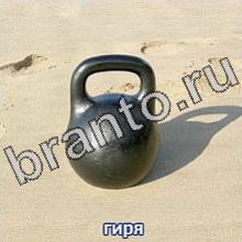 Следопыты игра подсказки Уровень 18