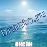 Подсказки Слова: что на картинке