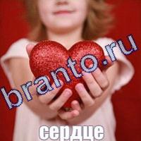 Слова что на картинке ответы скриншоты