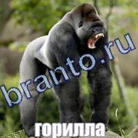 Слова что на картинке