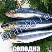 Игра Слова что на картинке