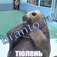 игра Слова: что на картинке ответы