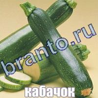 Слова что на картинке