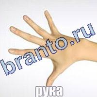 Слова что на картинке решения