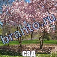 Слова что на картинке ответы