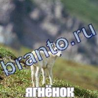 Слова: что на картинке ответы ВК