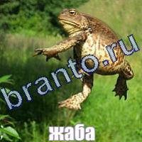 Помощь Слова: что на картинке