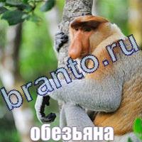 Слова что на картинке