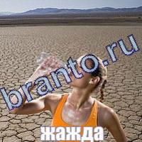 Игра Слова что на картинке