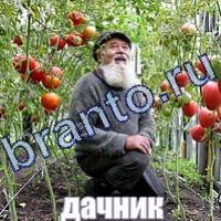 Слова что на картинке решения форум