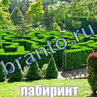 игра Слова: что на картинке ответы