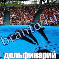 Слова: что на картинке