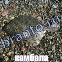 Слова что на картинке ответы в одноклассниках