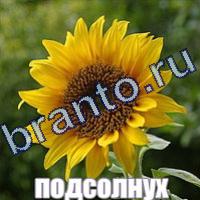 Слова что на картинке решебник