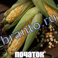 Слова что на картинке решения