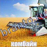 Слова что на картинке ответы