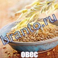 Слова: что на картинке в одноклассниках