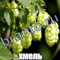 Слова: что на картинке