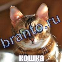 Слова что на картинке решения на все уровни