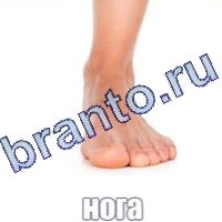 ответы на игру Слова: что на картинке?