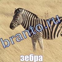 игра Слова: что на картинке ответы в одноклассниках