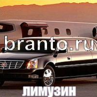 Слова: что на картинке решения