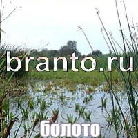 Слова: что на картинке ответы в картинках