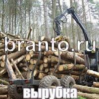 Слова что на картинке ответы в одноклассниках