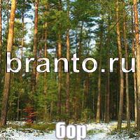 Слова что на картинке одноклассники ответы