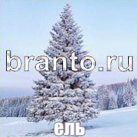 Слова что на картинке ответы скриншоты