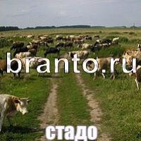 Игра Слова что на картинке