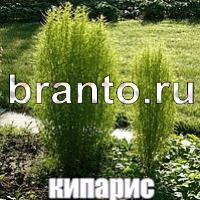 игра Слова что на картинке найти помощь