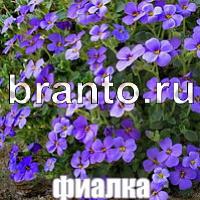 Слова что на картинке решения