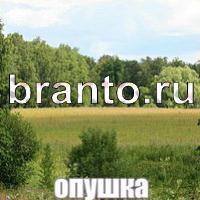 Слова: что на картинке в одноклассниках