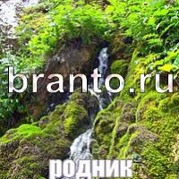 Слова: что на картинке? ответы