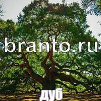 Слова: что на картинке?