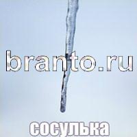 Слова: что на картинке решения