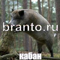 Слова: что на картинке